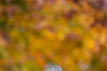 autumn background, bokeh effect
