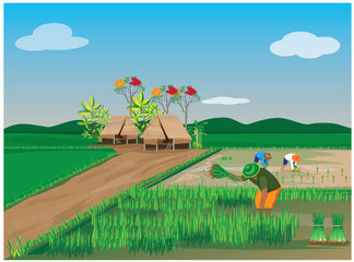 lifestyle of farmer vector design