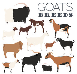 Goat breeds icon set. Animal farming. Flat design
