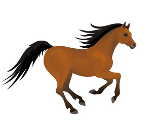 Fototapeta na wymiar Vector beautiful running arabian horse isolated on white background