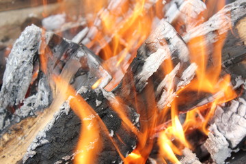 Bright burning fire of wood at fireplace 20423