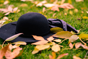 Gloves and hat in the leafs in the park