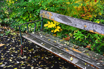 Verwitterte Parkbank mit Herbstlaub 