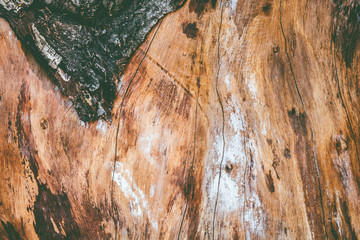 Old wood cracked texture background