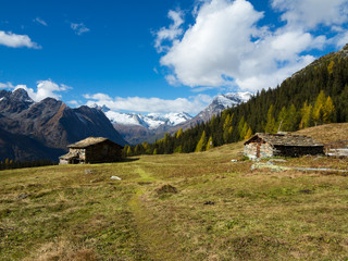 Fototapeta na wymiar Alpeggio - Autunno in montagna (Valmalenco)