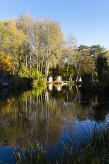 Fototapeta na wymiar lake in the forest in autumn