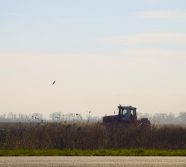 Fototapeta premium Tractor plowing a field and crows flying around him in search of food