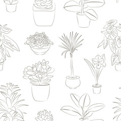Houseplants set pattern