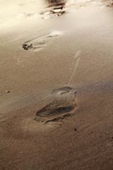 Fototapeta na wymiar Sand foot print