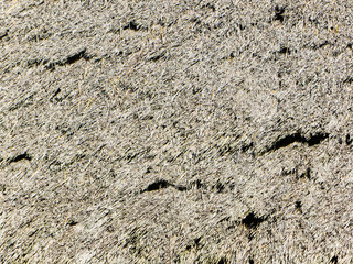 The background of dry straw