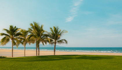 Fototapeta na wymiar Coconut beachs