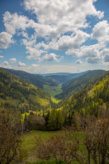 Obraz premium Wanderung im Metnitztal