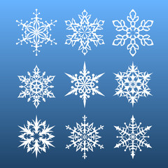 Fototapeta na wymiar snowflakes set. nine design element.