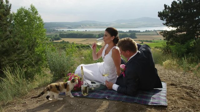 A Wedding Couple Relaxes On A Picnic Blanket With A View Of The Moravian Wine Country In Southern Czech Republic. They Are Posing For Photos While Drinking Wine.  A Cat Is Also Visiting. 4k. In Slow M