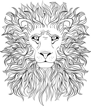 Hand drawn lion head isolated. Banner, poster, card, t-shirt des