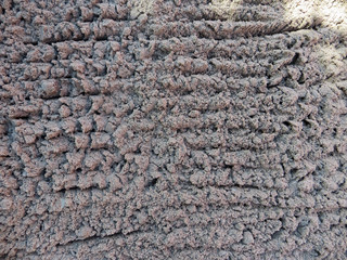 Rake loosen sand in the garden