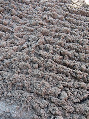 Rake loosen sand in the garden