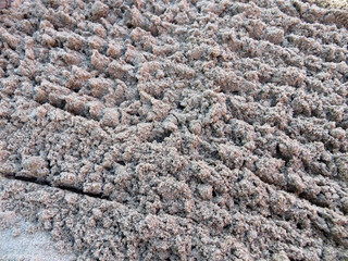 Rake loosen sand in the garden