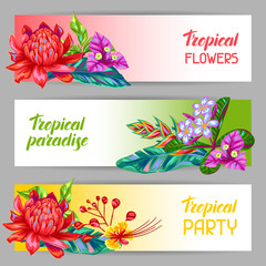 Banners with Thailand flowers. Tropical multicolor plants, leaves and buds