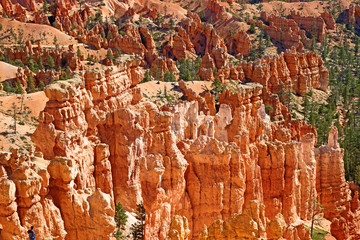 Bryce canyon