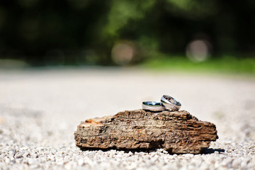 Pair of white gold wedding rings on wooden decor