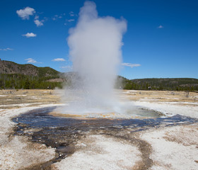 Geyser