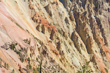 Yellowstone canyon
