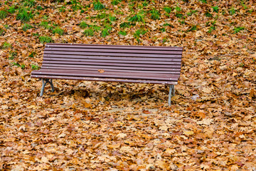 Autumn fall colors bench in park
