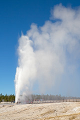 Geyser