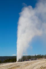 Geyser