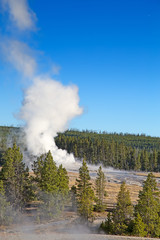 Geyser