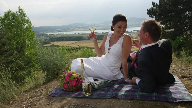 A wedding couple relaxes on a picnic blanket with a view of the Moravian wine country in southern Czech Republic. They are laughing while posing for photos.  The camera is dollying up vertically. 4k. 
