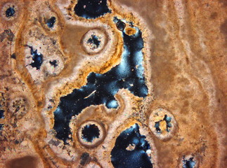 Micro-photo of geological thin section