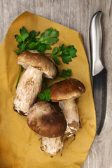 top view of fresh boletus  with parsley and knife
