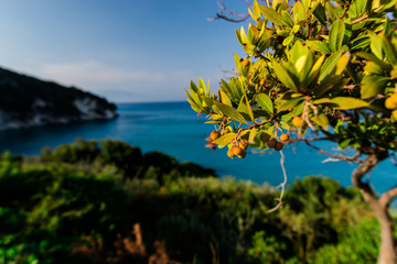 View at Zakynthos island