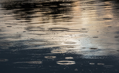 Ripples created by falling rain in a wild river, under warm sunset light