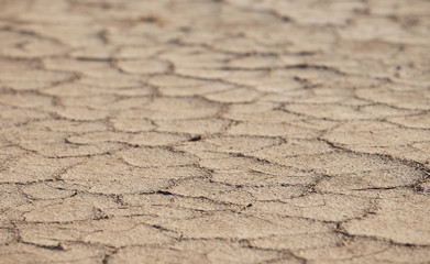 Cracked earth in the desert of Kazakhstan, Altyn Emel