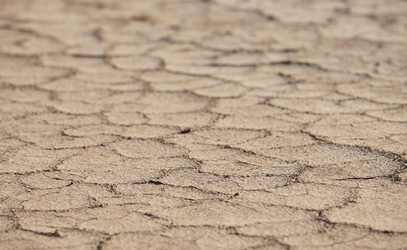 รูปภาพAltyn เลือกดูภาพถ่ายสต็อก เวกเตอร์ และวิดีโอ1,939 Adobe Stock