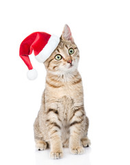 cat sitting in red christmas hat looking away. isolated on white
