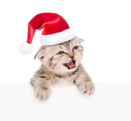 Tabby kitten in red santa hat looking out because of the poster. isolated on white