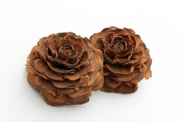 fleur du cédre