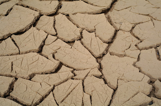 Soil drought cracked into the dry season