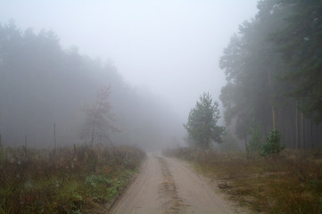 country road in autumn in the mist