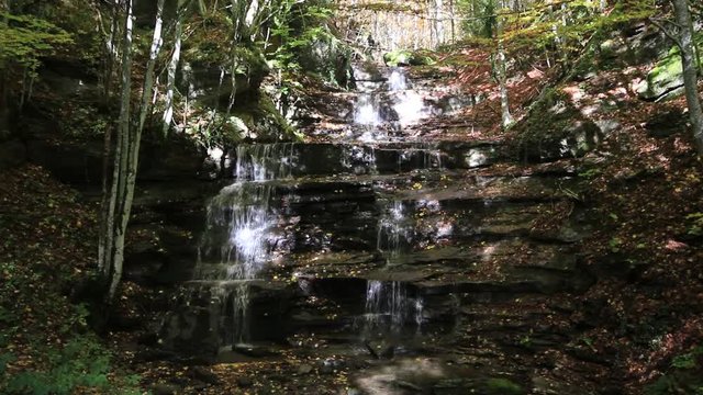 Cascata nel parco nazionale delle Foreste Casentinesi, Monte Falterona e Campigna