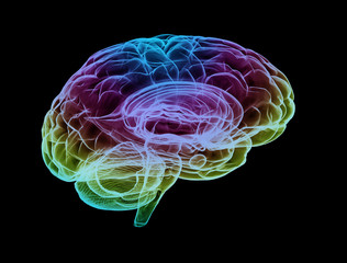 Human brain multi color isolated on black background