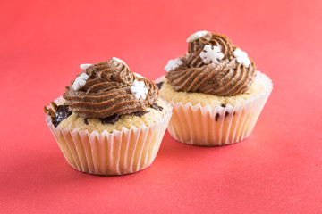 Vanilla cupcake with chocolate topping. Red background.