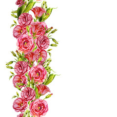 watercolor flower peony pink green leaves decorative vintage illustration isolated on white background