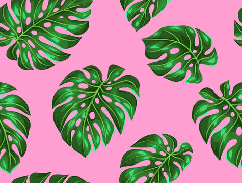 Seamless pattern with monstera leaves. Decorative image of tropical foliage