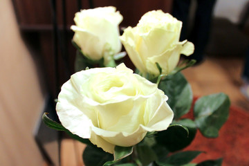 White roses