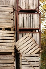 Large wooden crates ready for storage of the harvested crop of fruit or vegetables.
